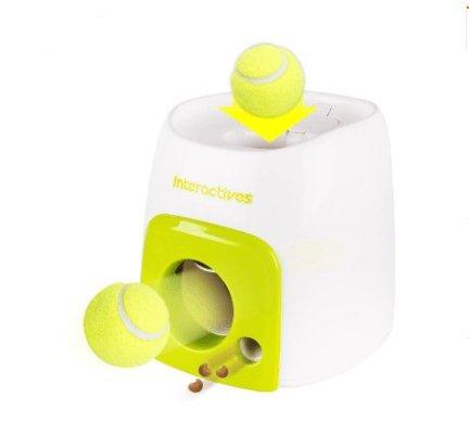 Automatic Feeding System For Pets
