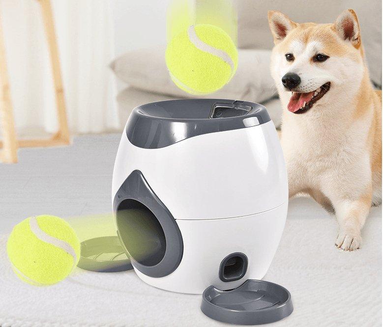 Automatic Feeding System For Pets