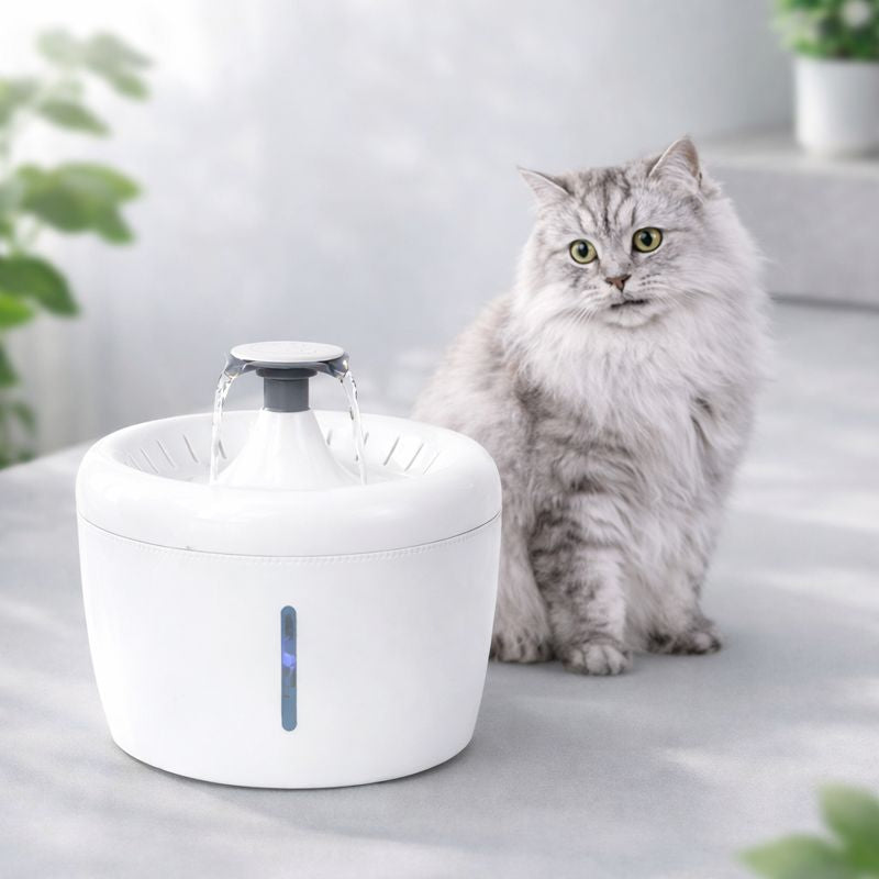 Best Pet Water Oasis